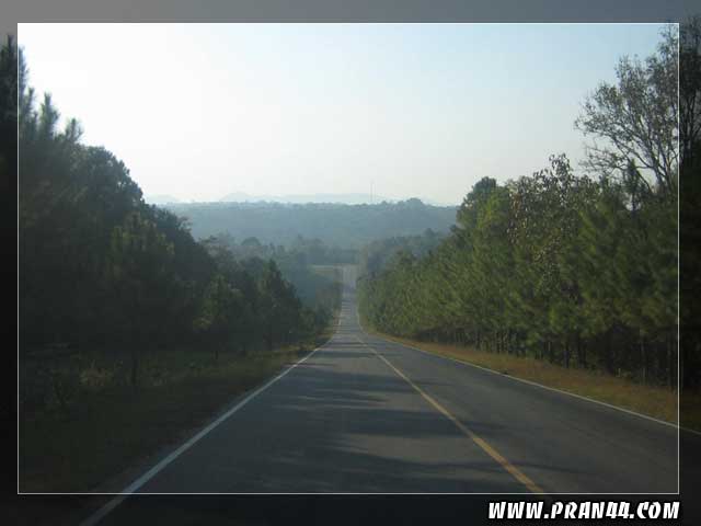 dam005.jpg