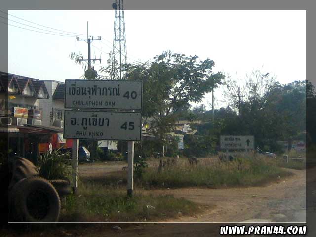 dam008.jpg
