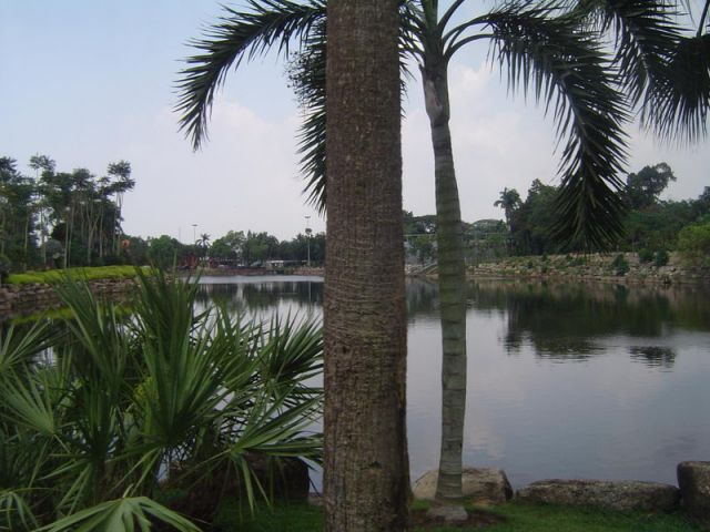 normal_ma08a013.JPG