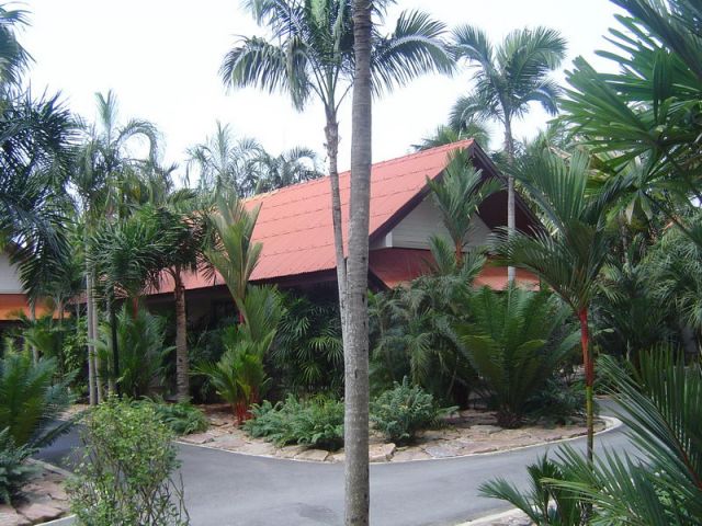 normal_ma08a031.JPG