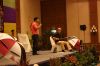 IMG_0596_resize~0.JPG