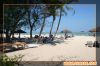thumb_mar50A010.jpg