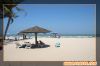 thumb_mar50A013.jpg